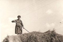 Φόρτωμα τρυφιλιού