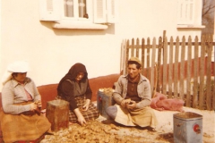 Ετοιμασία πατατόσπορου