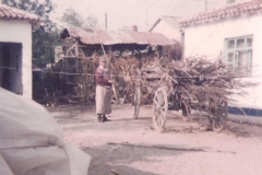 Μεταφορά ξύλων με κάρο