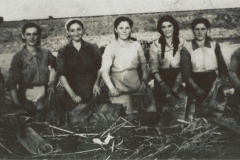 Χτένισμα σκούπας