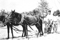 Οικογένεια συγχωριανών Τούρκων αλωνίζουν