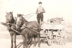 Πώληση λαχανικών