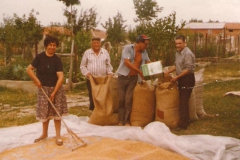 Σιτάρι στα σακιά