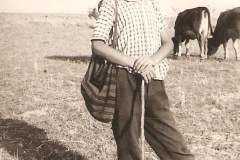 Κυριαζόπουλος Γ. βόσκει αγελάδες