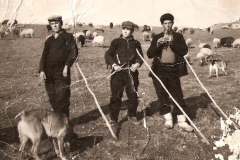 Τρείς Φίλοι