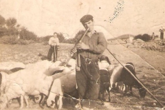 Τσομπάνος ο Βενετίδης