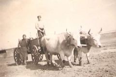 Βλαδενίδης Αχιλλέας - Προσωπική εργασία