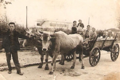 Στην πανήγυρι με κάρο
