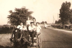 Στην πανήγυρι με νταλίκα