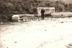 Τσέσμε γκιόκες